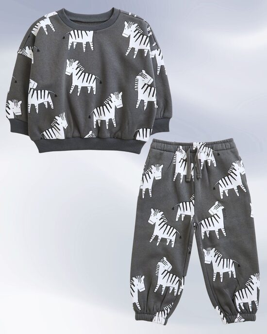 Komplekts zebras