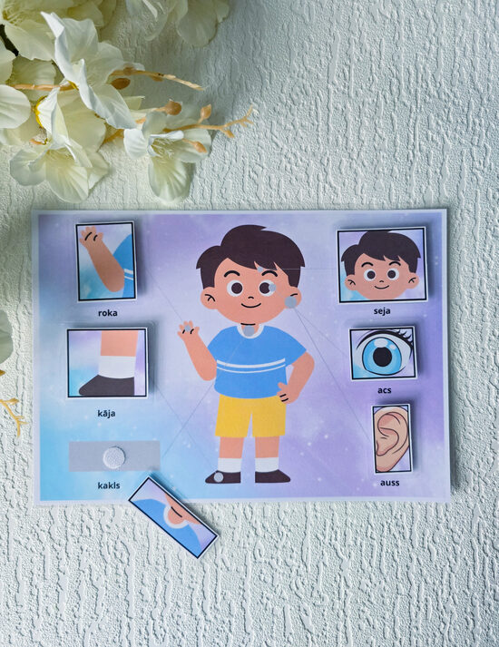 Lipekļu spēle - ķermeņa daļas