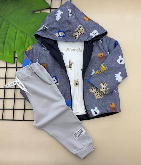 Komplekts ar vējjaku